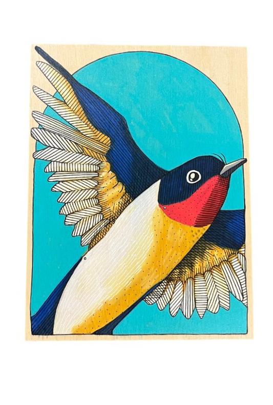 Barn Swallow Bird by Steph Davies