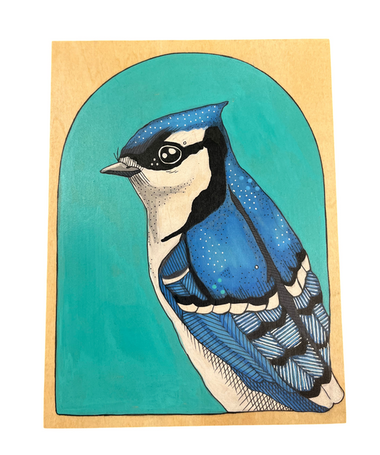 Blue Jay Bird by Steph Davies