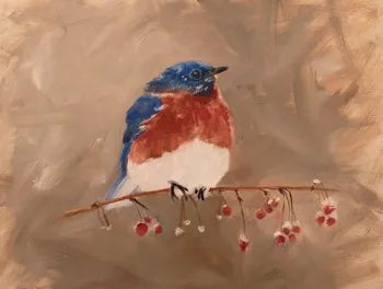 Bluebird in Winter Art Print by Judy Robb