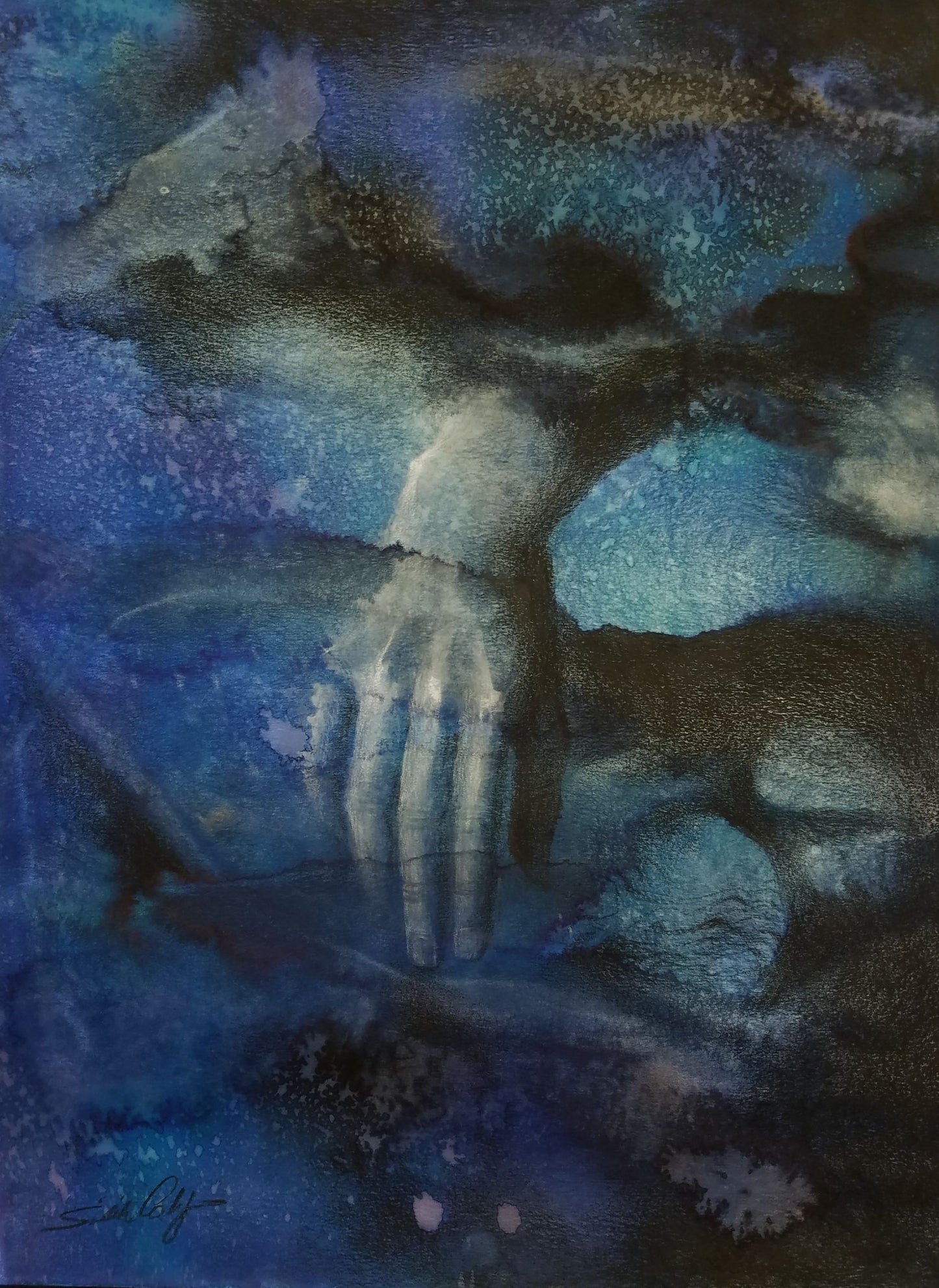 Chasing Evanescence by Silvia Cavagnero