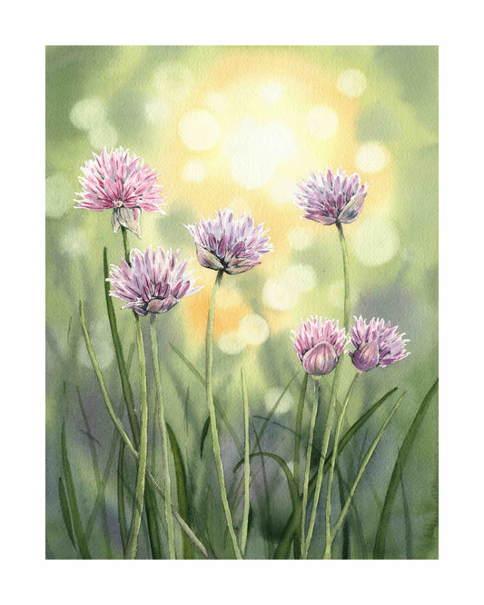 Chives Warming in the Sunlight art print by Emily Marie