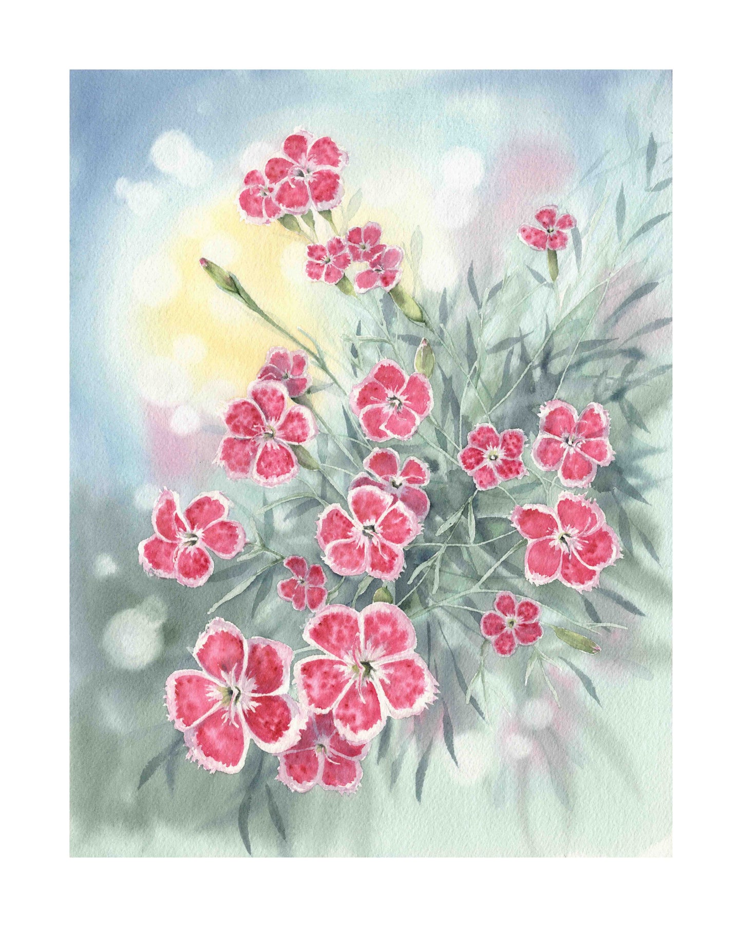 Dianthus art print by Emily Marie