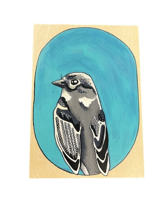 Dusky Flycatcher Bird by Steph Davies