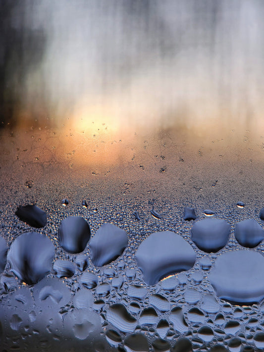 Aftermath, 14" x 18", Macro Photography, metal print by Colette Girard
