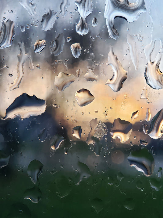 Morning Rain, 14" x 18", Macro Photography, metal print by Colette Girard