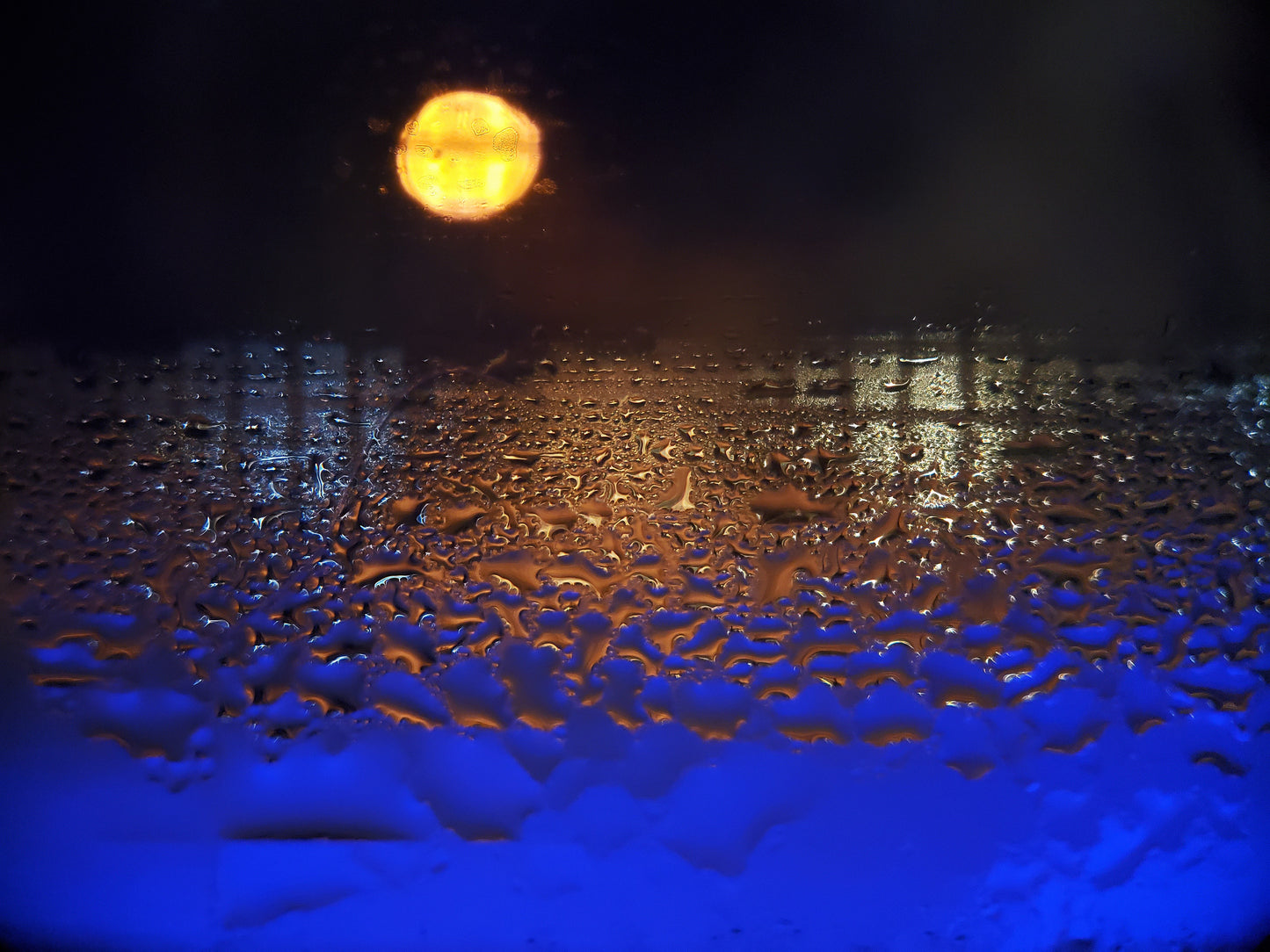 Tron-scape, 14" x 18", Macro Photography, metal print by Colette Girard