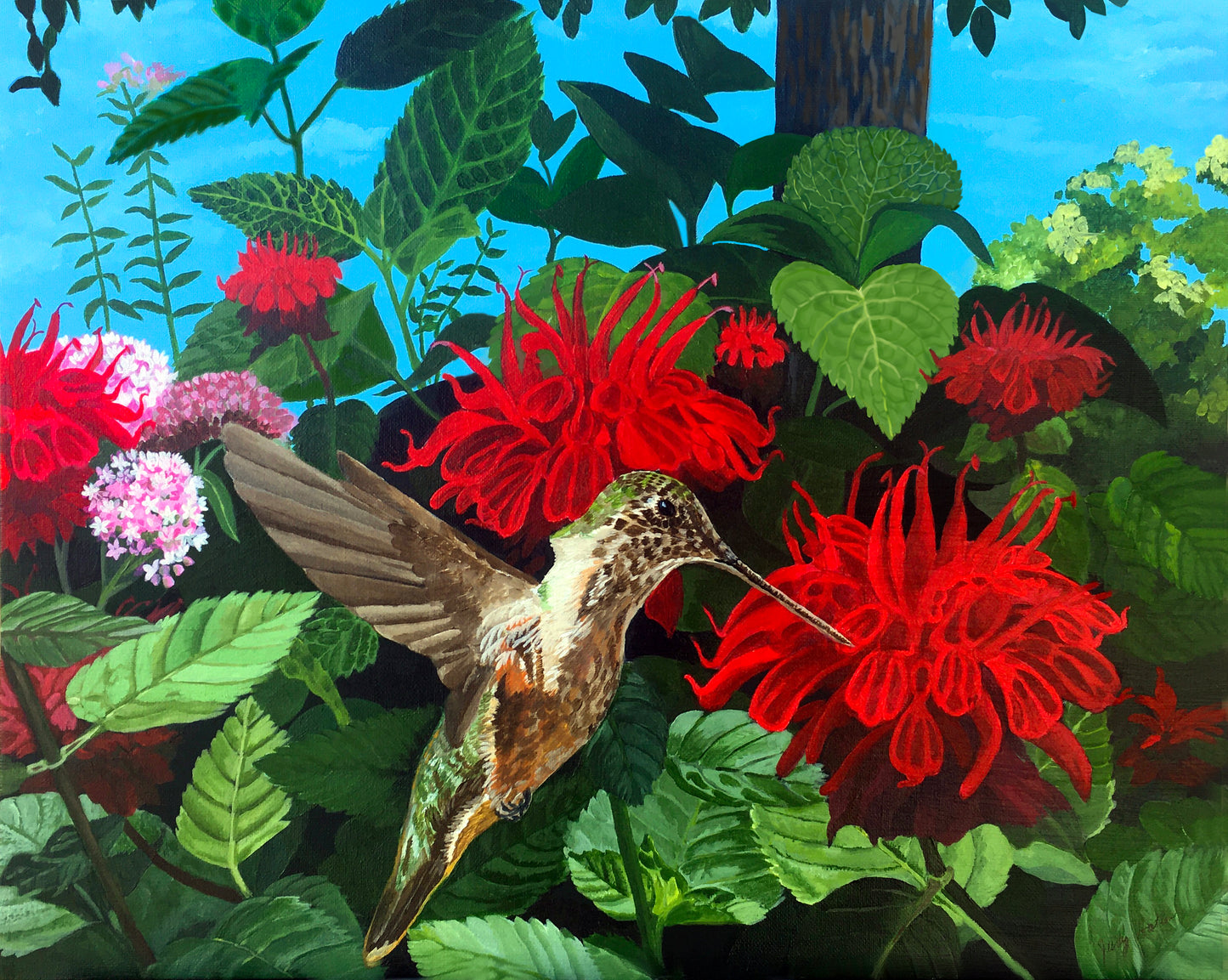 Hummingbird with Red Beebalms by Judy Hatlen