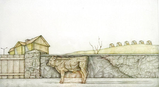 YOUNG BULL, NEW HOMES by Bill Amundson