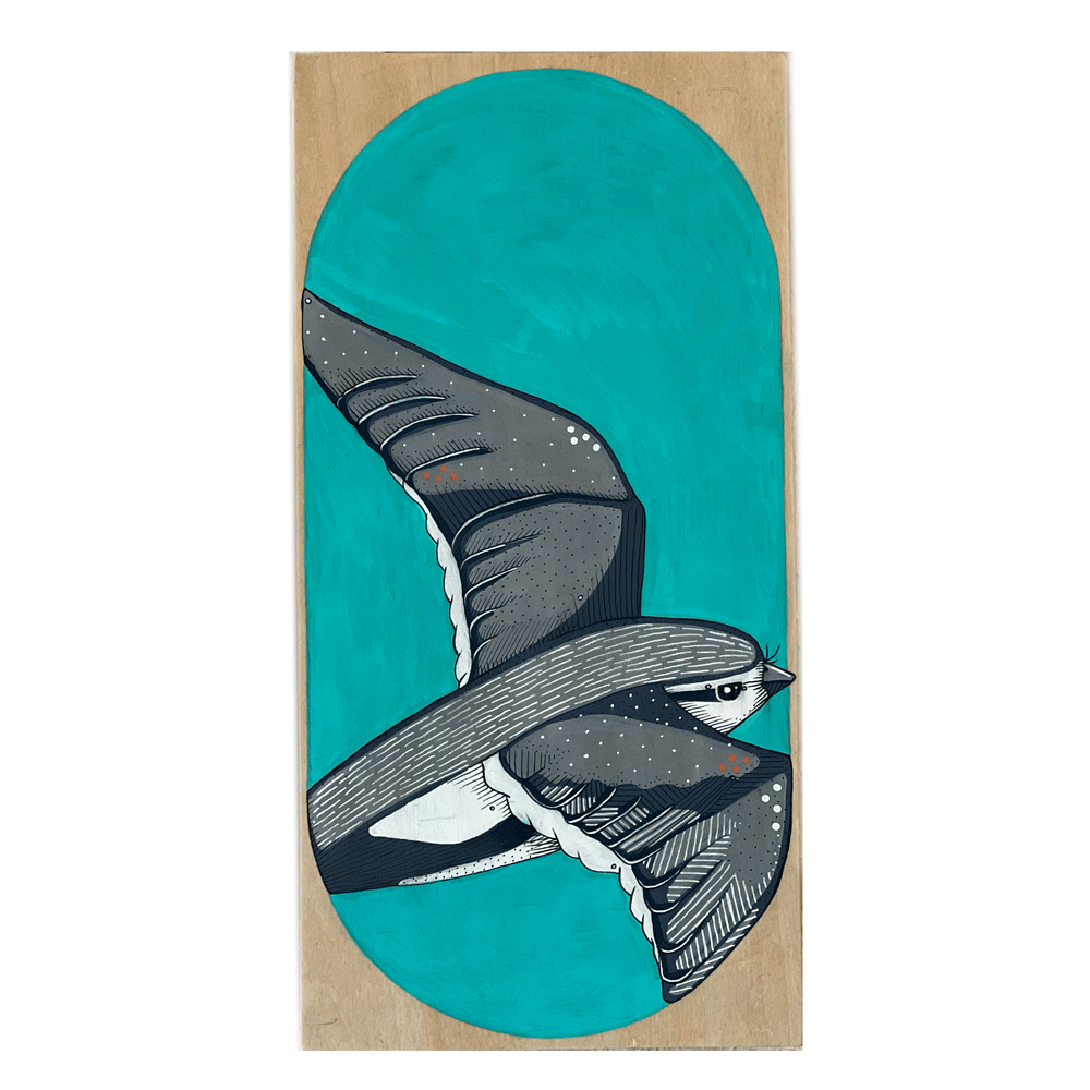 Swift Bird by Steph Davies