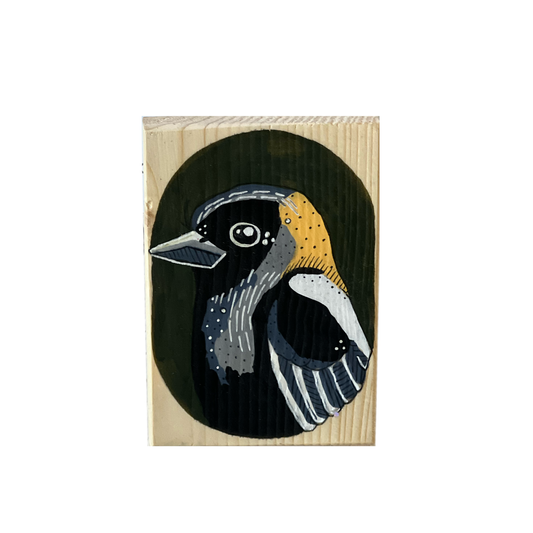 Bobolink Bird by Steph Davies