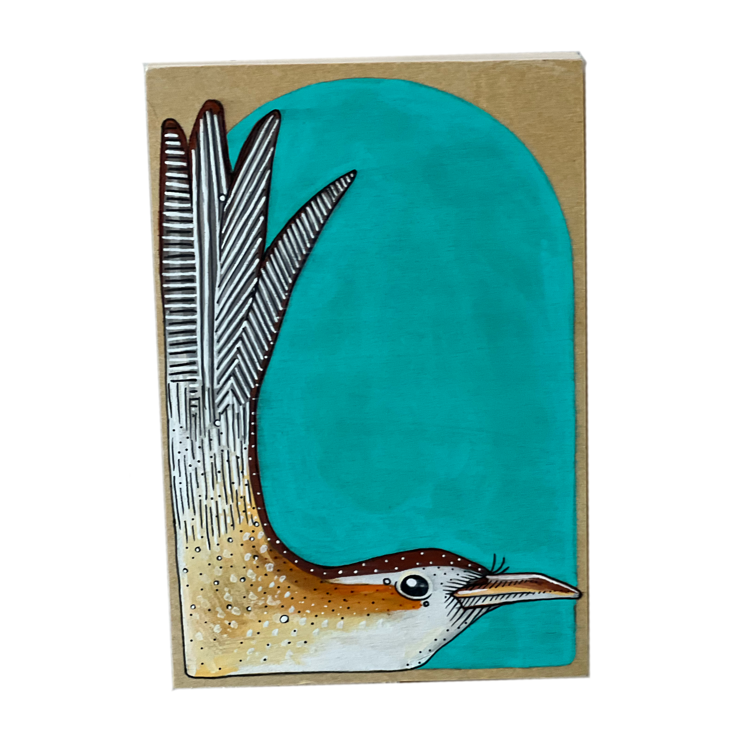 Marsh Wren Bird by Steph Davies