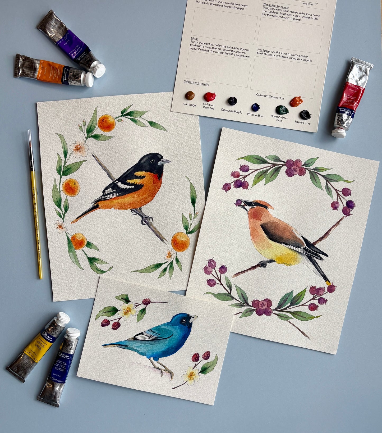 Watercolor Kit: Backyard Birds by Emily Marie