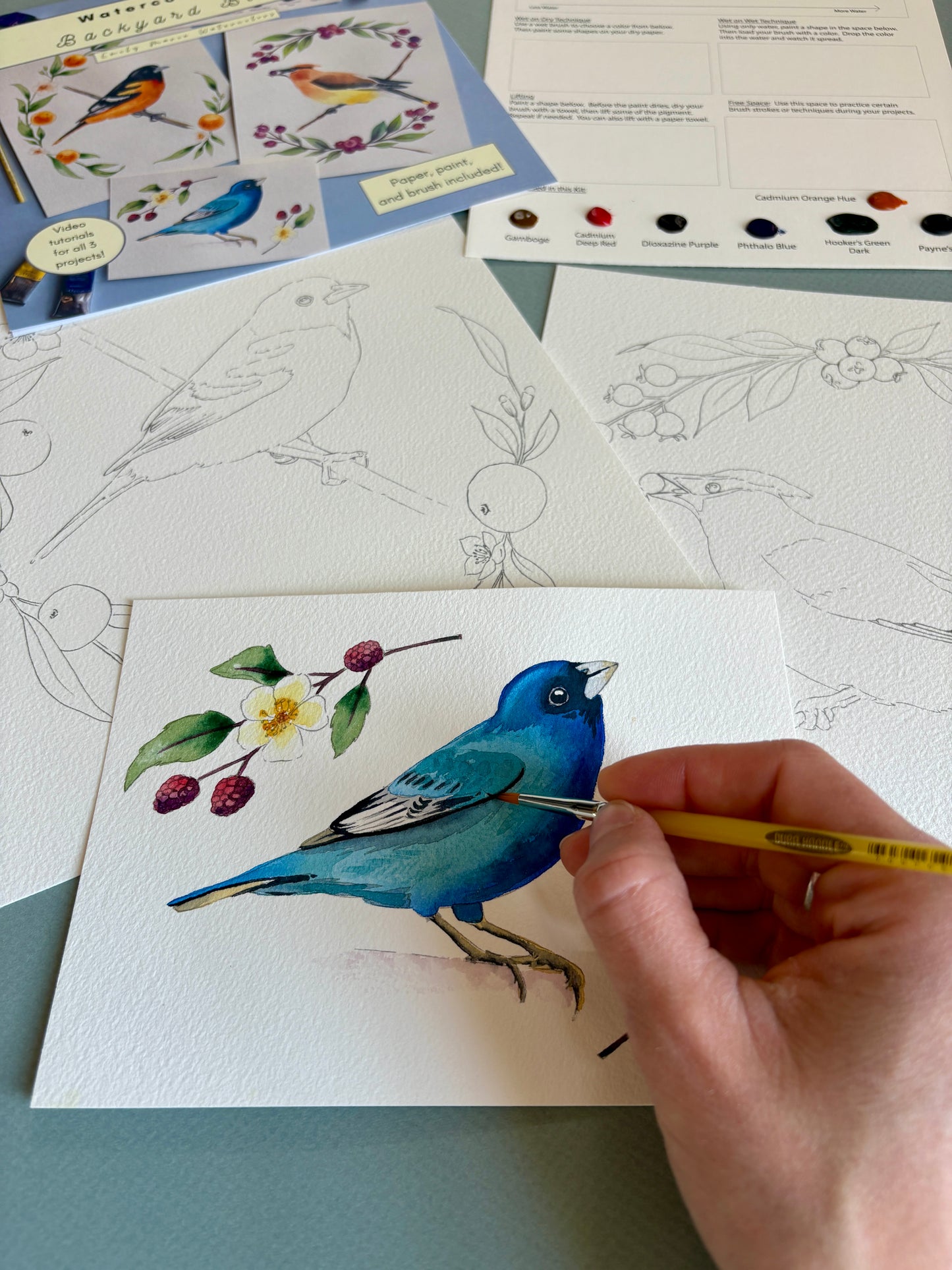 Watercolor Kit: Backyard Birds by Emily Marie