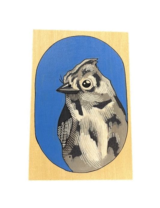Juniper Titmouse Bird by Steph Davies