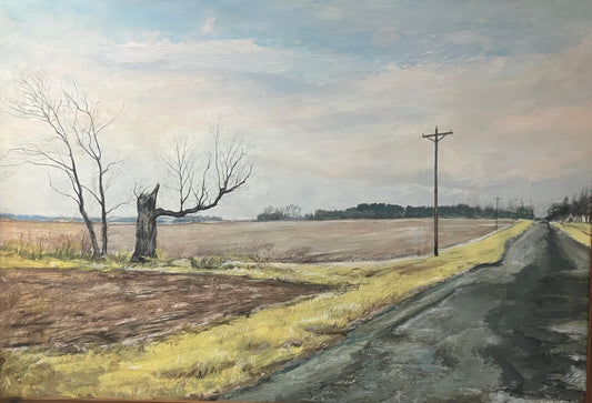 Fields of Solitude by Kevin Riley