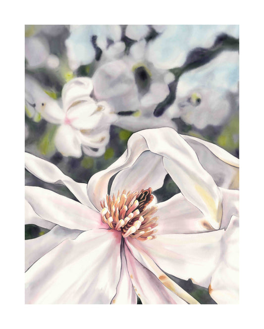 Magnolia Tree: UW Arboretum  by Emily Marie Schroeder