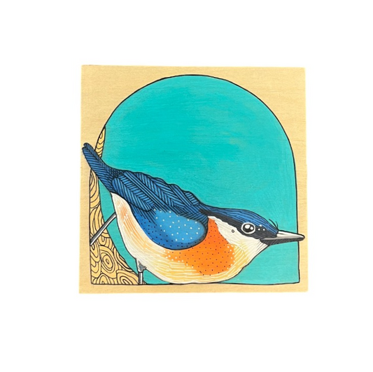 Nuthatch Bird by Steph Davies