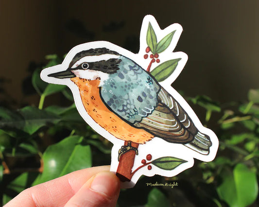 Red-Breasted Nuthatch Sticker