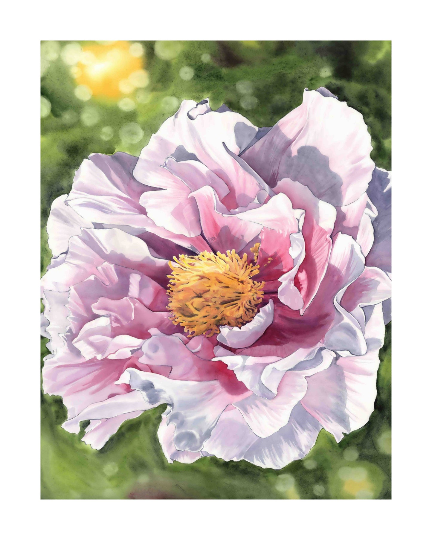 Peony at Olbrich Gardens art print by Emily Marie