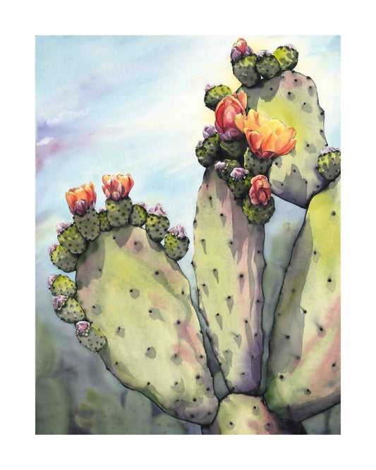 Prickly Pear Cacti: Jalisco MX art print by Emily Marie