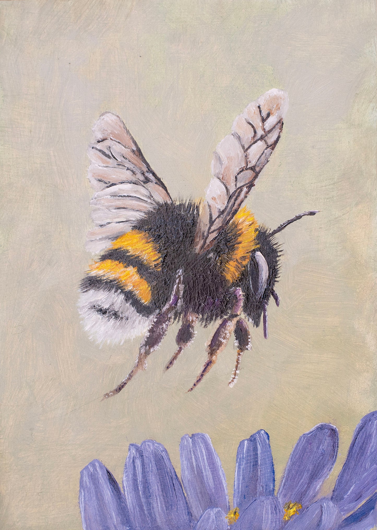 Native Bee 2 by Judy Robb