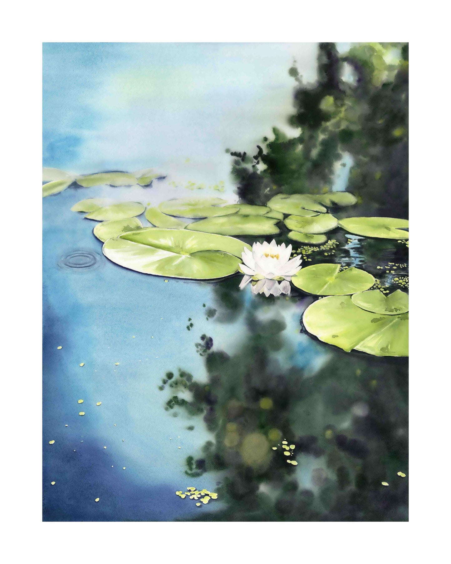 Reflections: Cherokee Marsh art print by Emily Marie