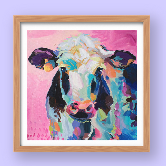 Cow Study in Pink