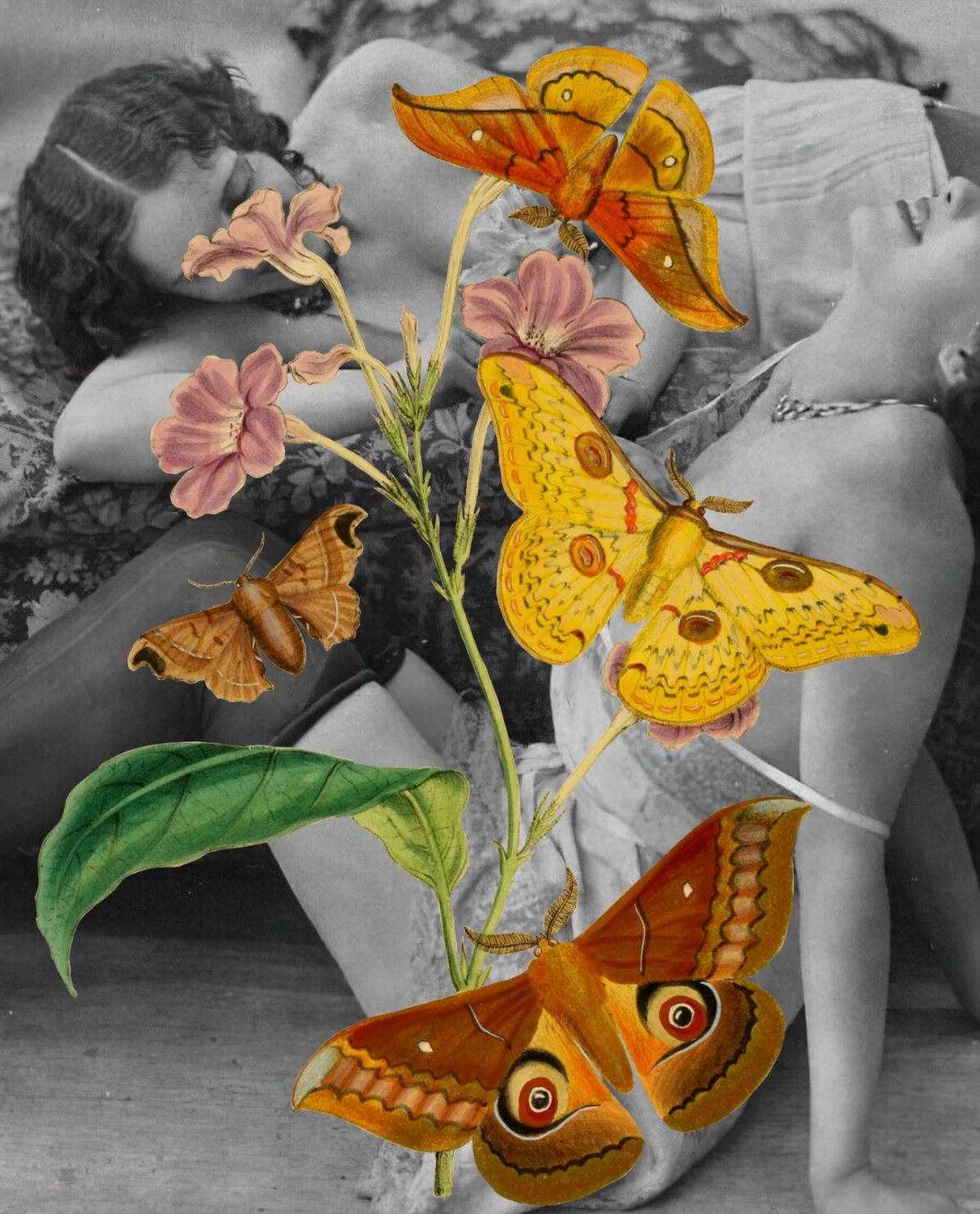 Butterfly Love Art Prints