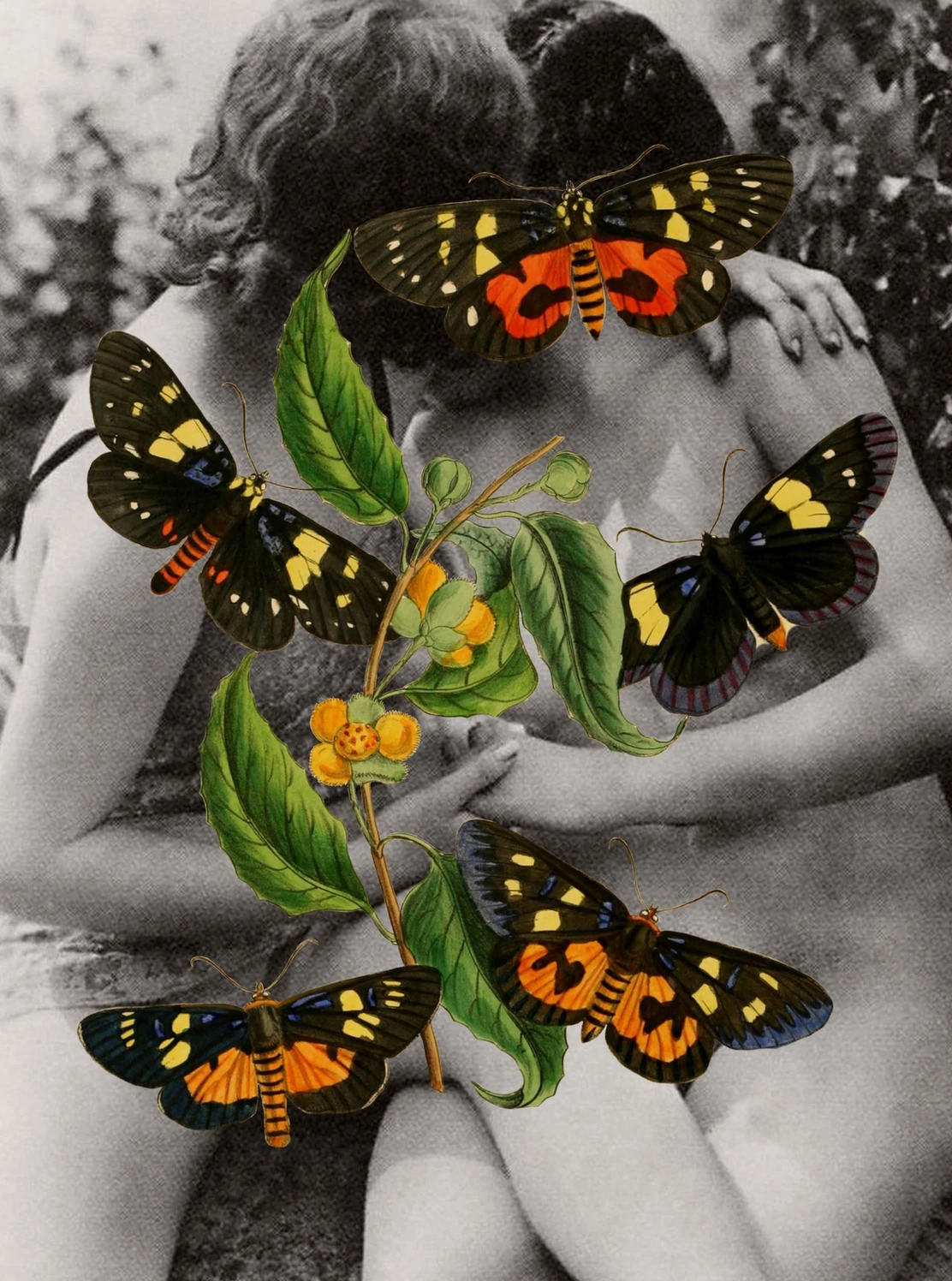 Butterfly Love Art Prints