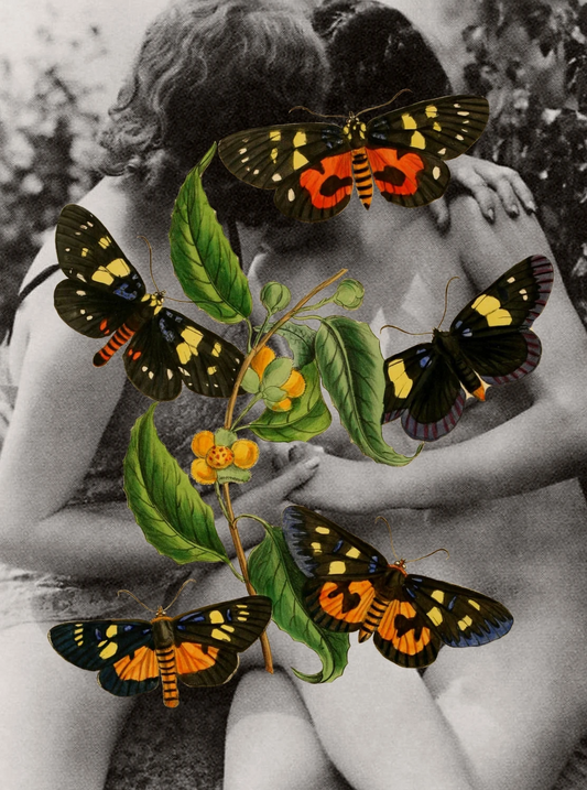 Butterfly Love Art Prints