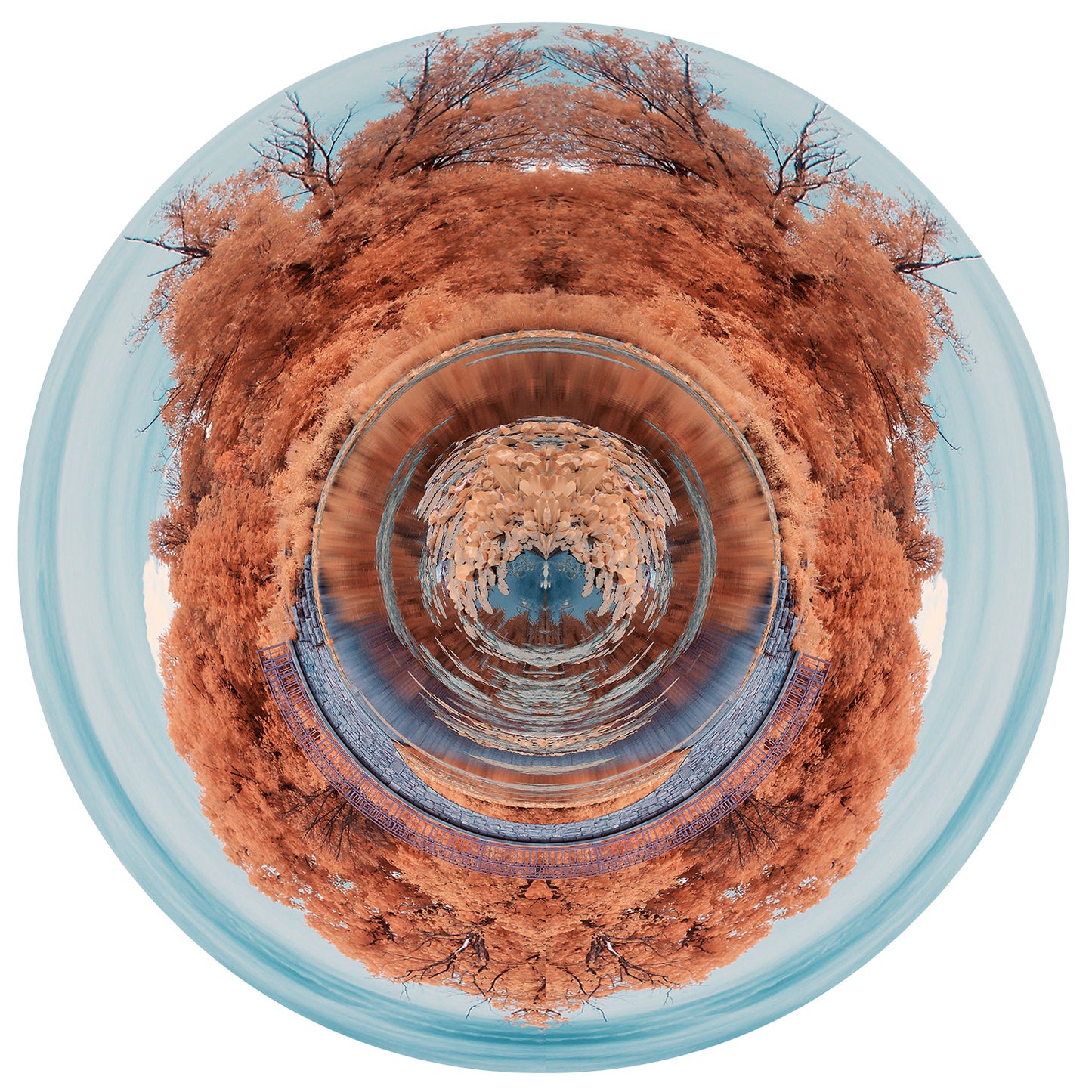 Down the Rabbit Hole 12 inches Photograph Printed on Metal by Kat Shanahan