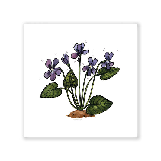Wood Violets Art Print 6x6
