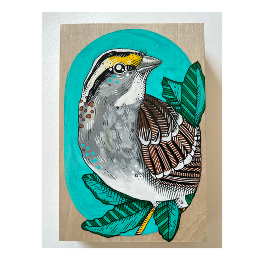 Sparrow by Steph Davies