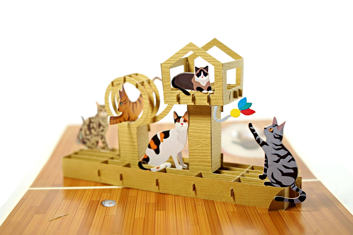 Cats 3D Card