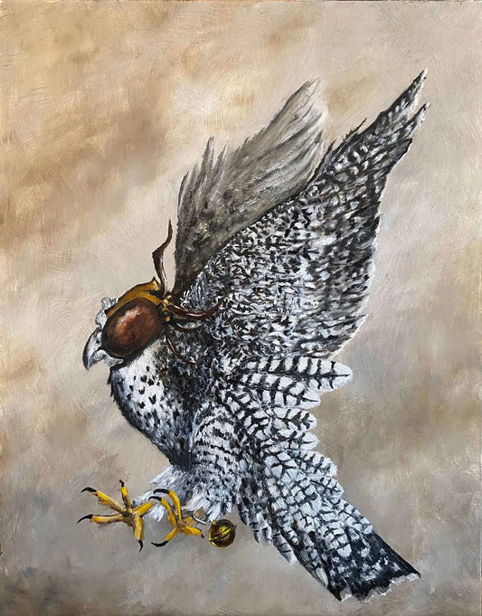 Falconer's Falcon