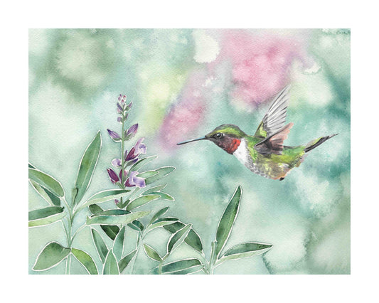 Hummingbird & Sage art print by Emily Marie
