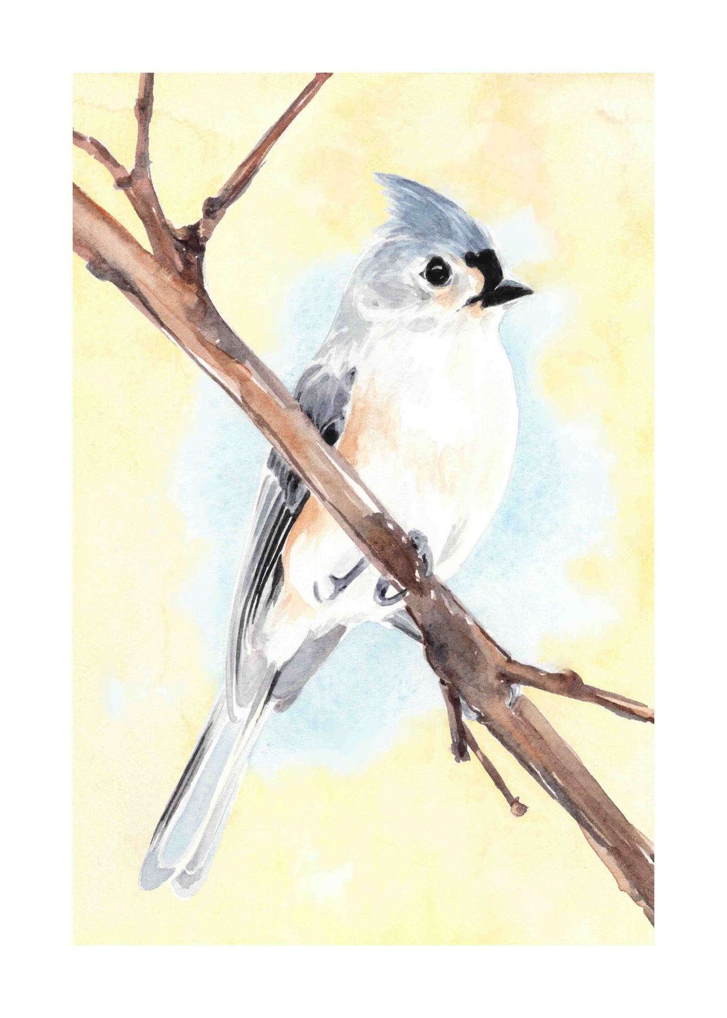 Tufted Titmouse art print by Emily Marie