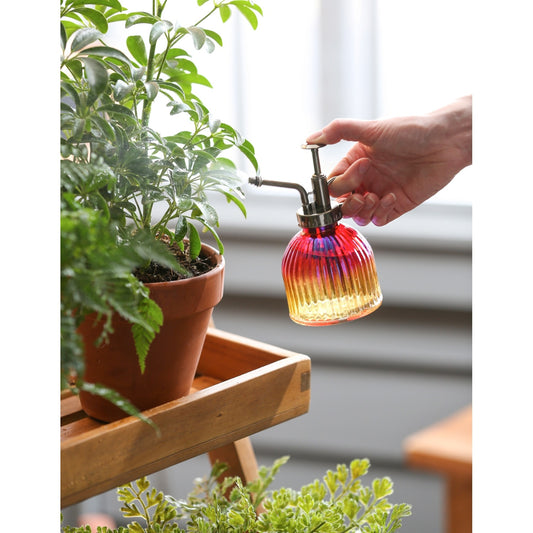 Iridescent Ombre Glass Plant Mister